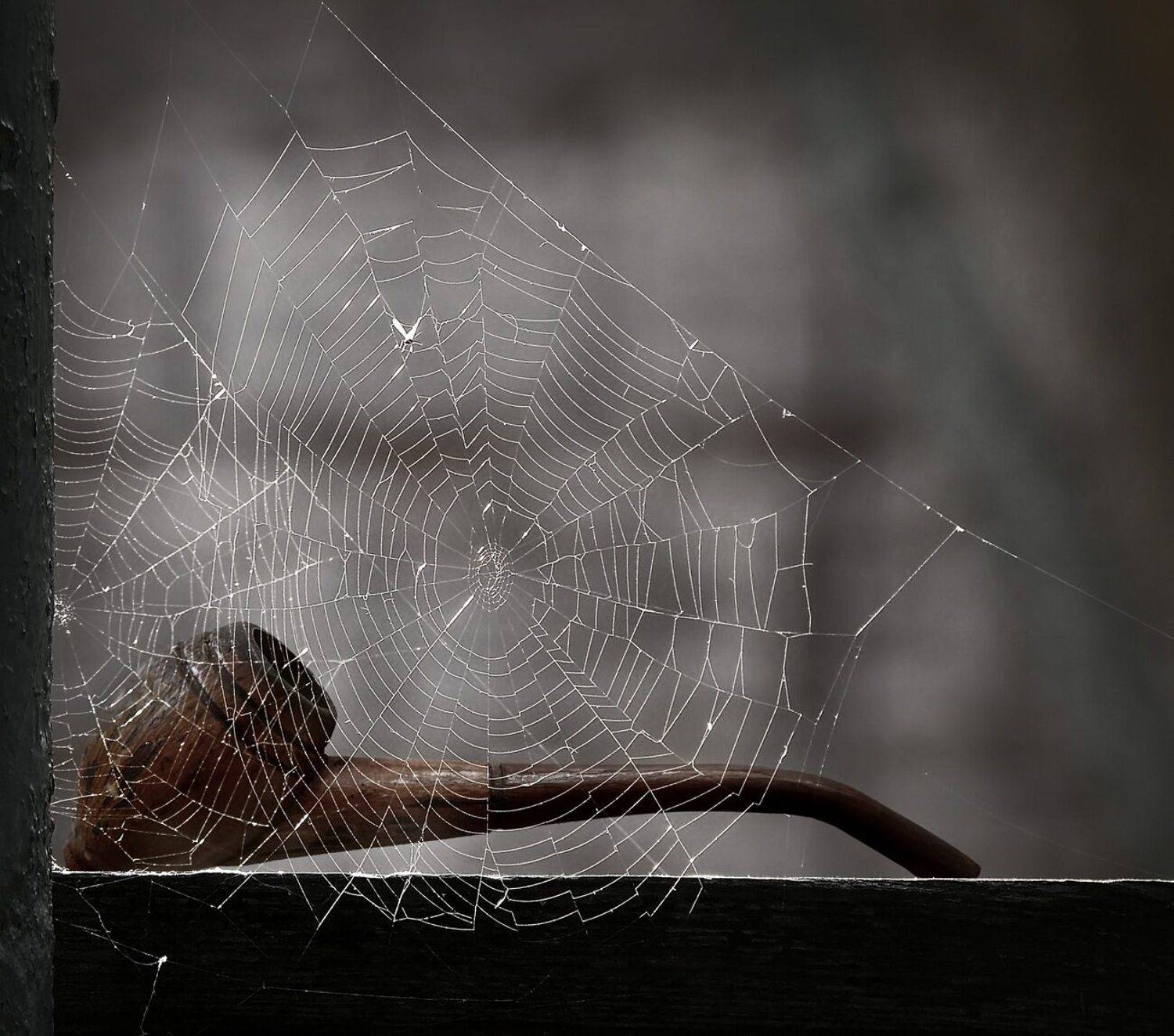 , Савоцкий Роман