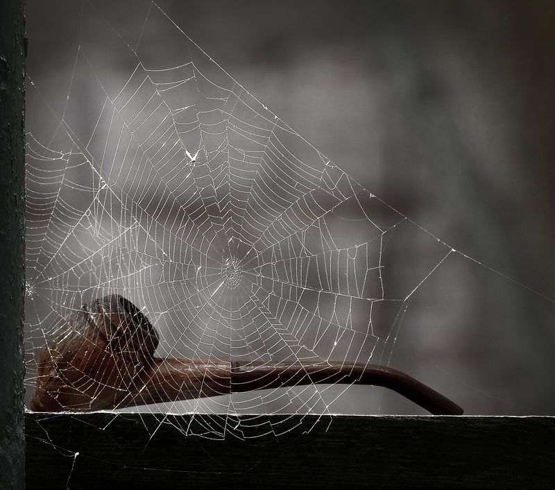 Не курить фото превью