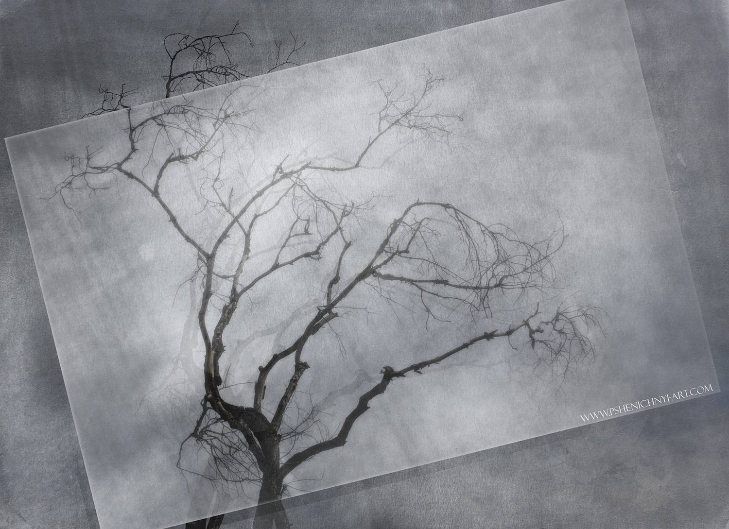 осень, дерево, крона, силуэт, рисунок, ветви, графика, концепция, Пшеничный Андрей