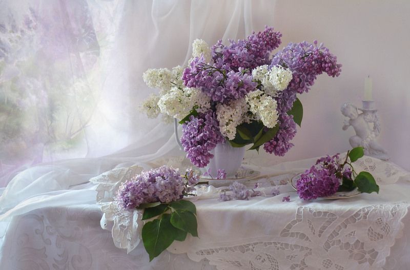 still life, натюрморт, цветы, фото натюрморт, весна, май, сирень, фарфор, настроение, Букет сирени на столе... фото превью