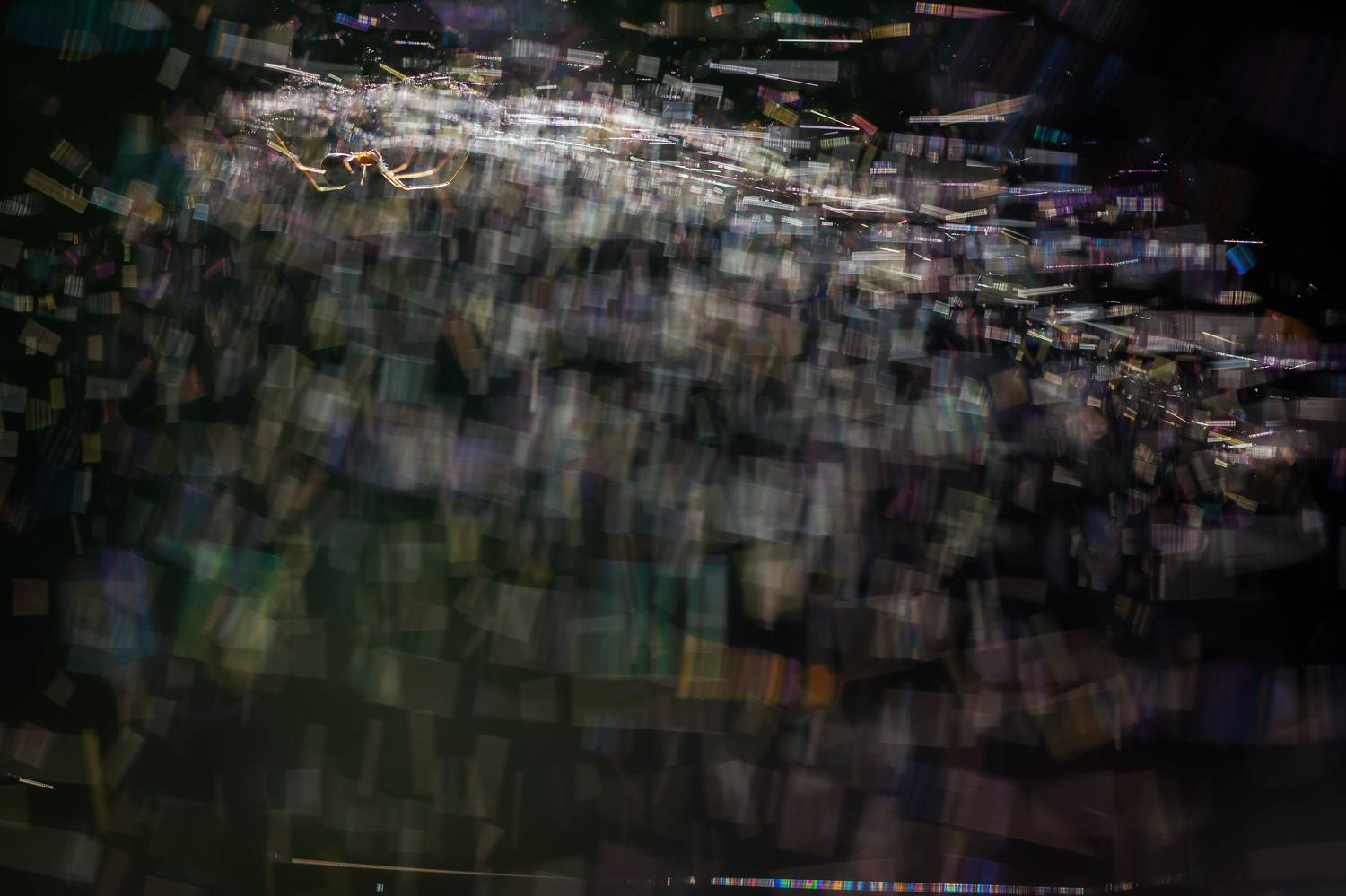 , Викулов Николай