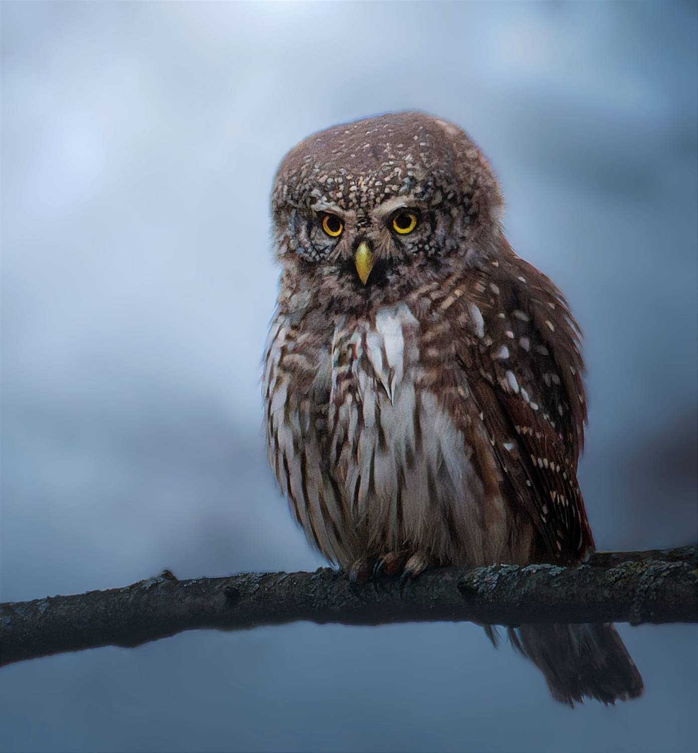 , Фото Александр