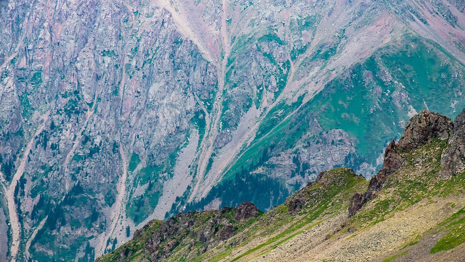 , Савенко Кирилл