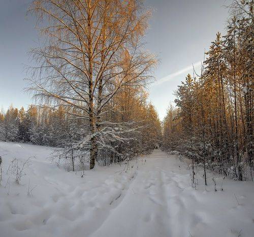 Снег прошёл.
