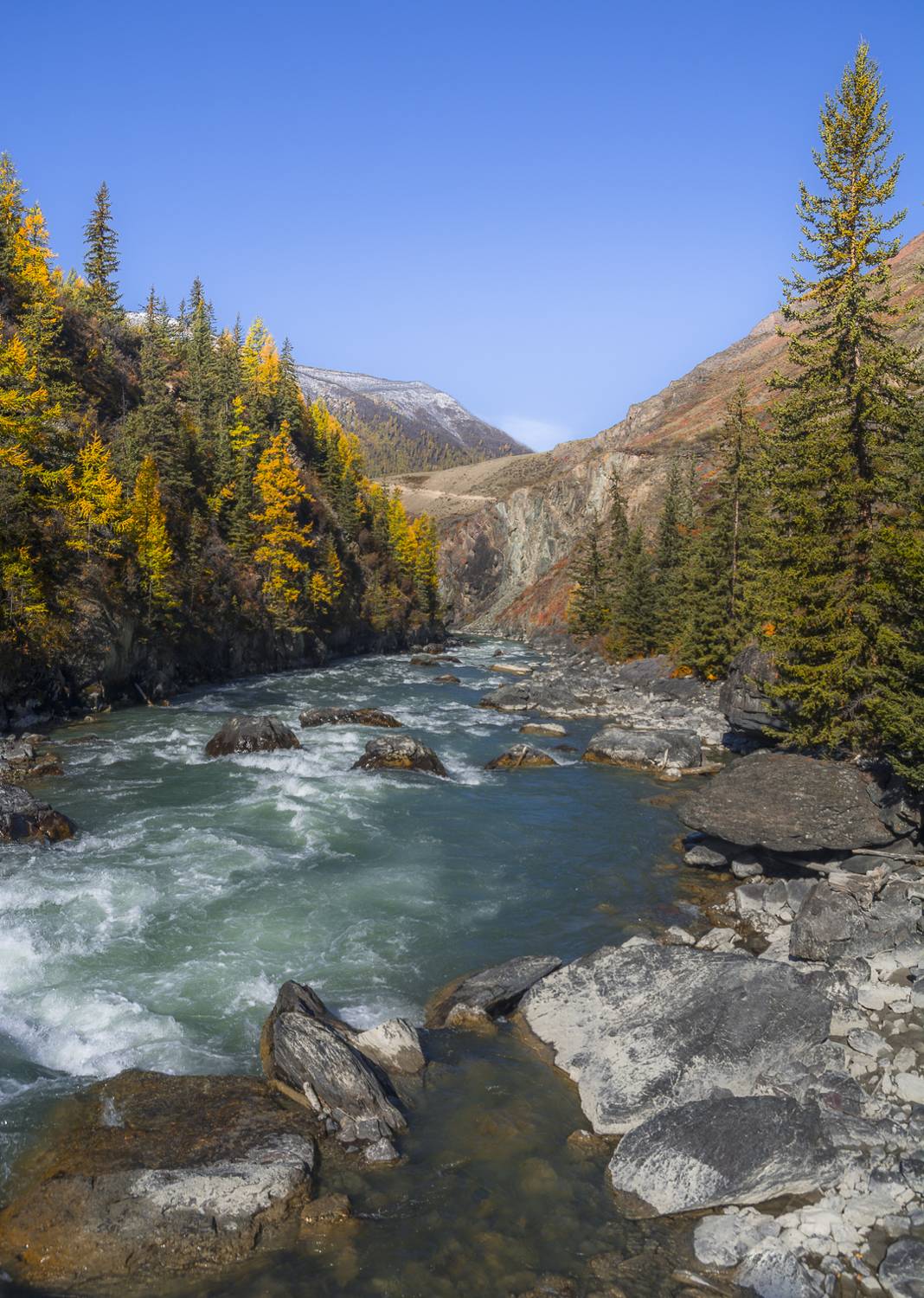россия, горный алтай, река чуя, осень, Андрей Поляков
