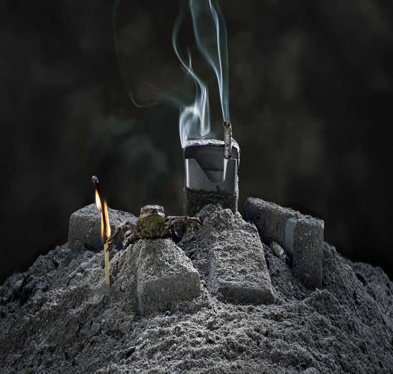 фото превью