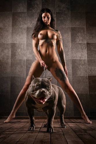 (W)UFF - american bully - german tattoo model