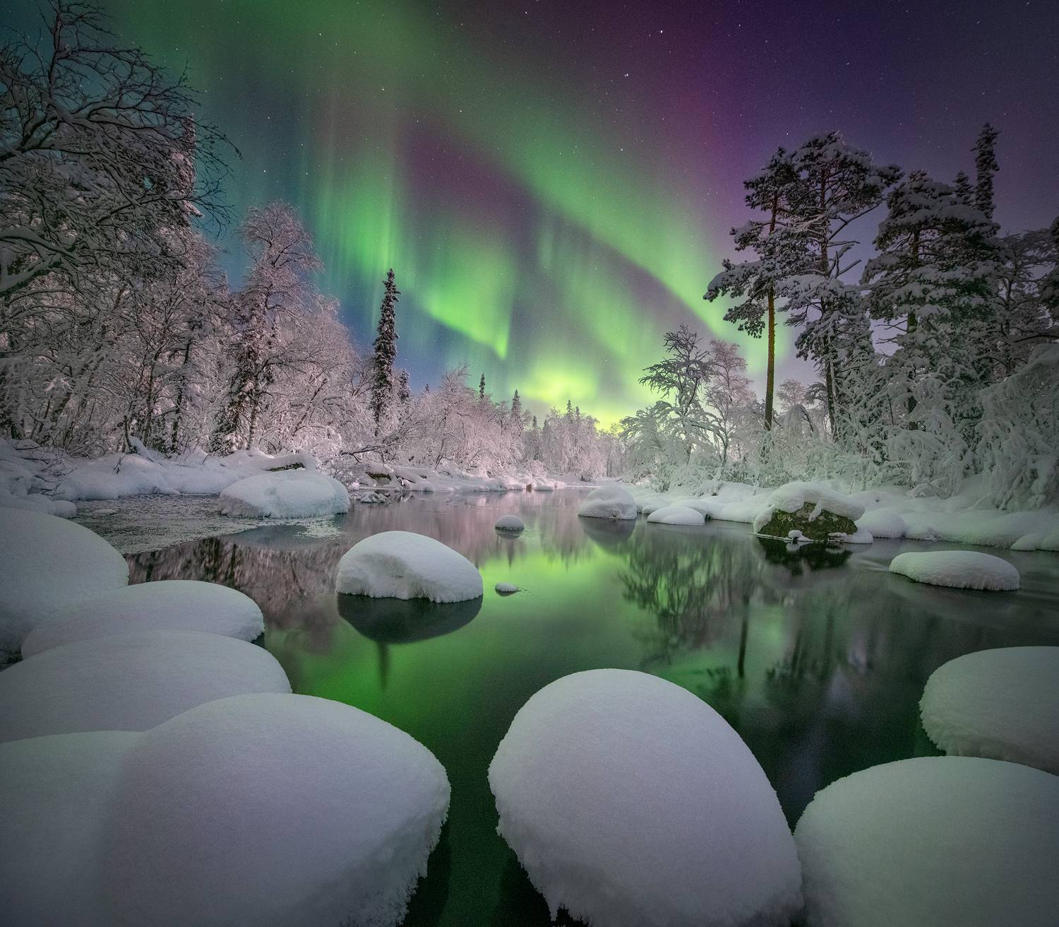 , Елена Ермолина