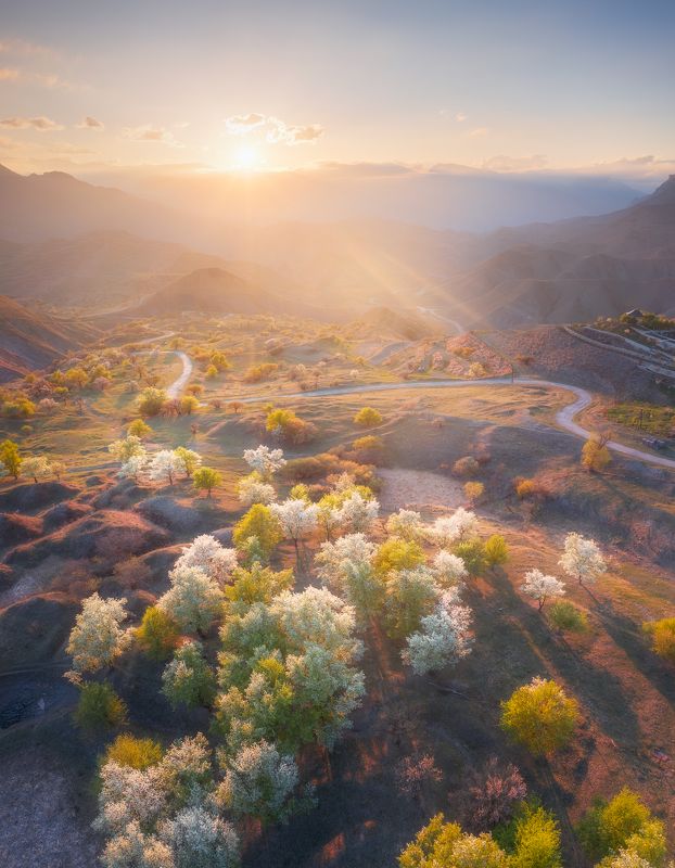 Цветущий Дагестан фото превью