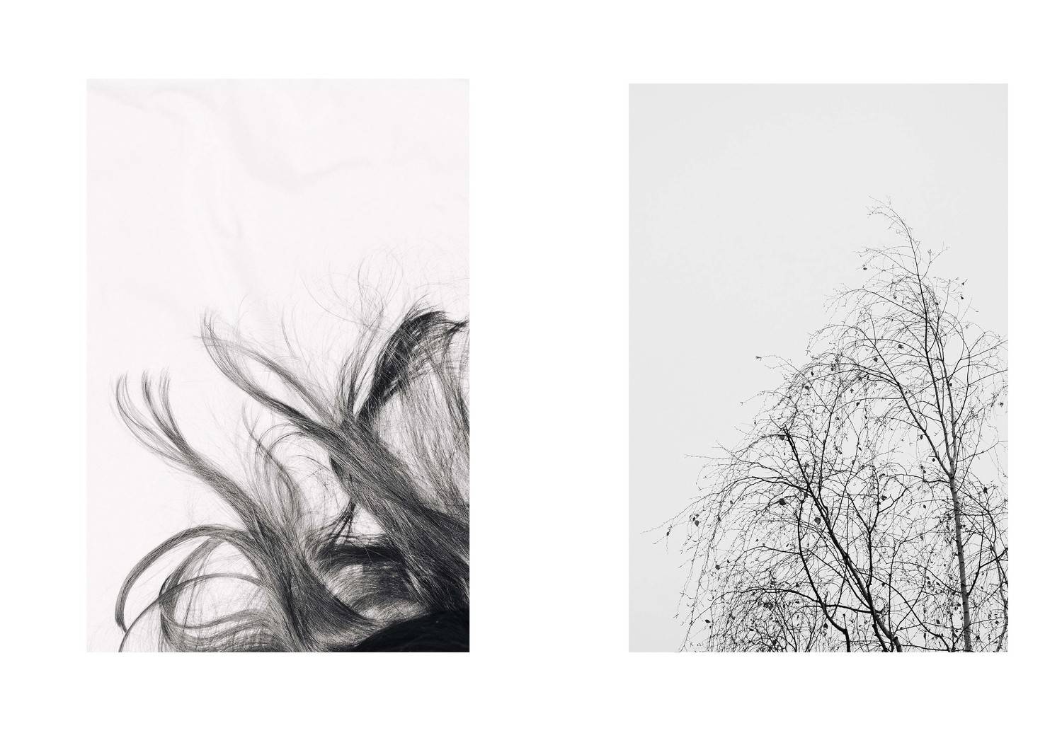 , Рыбаков Илья