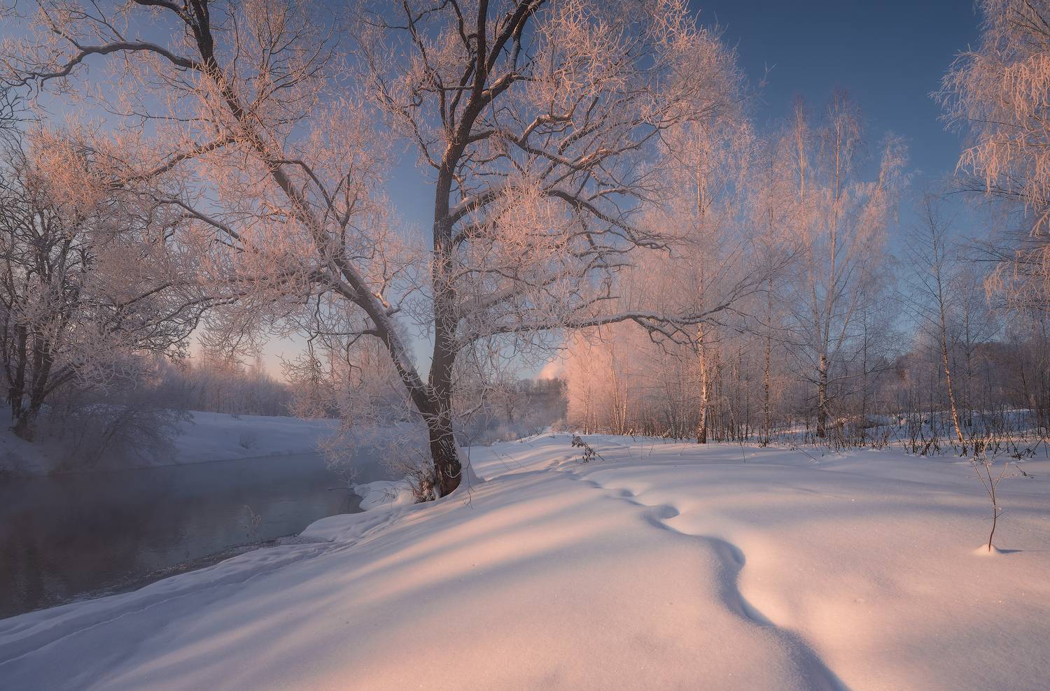 мороз, зима, пейзаж, иней, рассвет, Левыкин Виталий