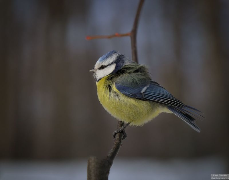 Против ветра фото превью