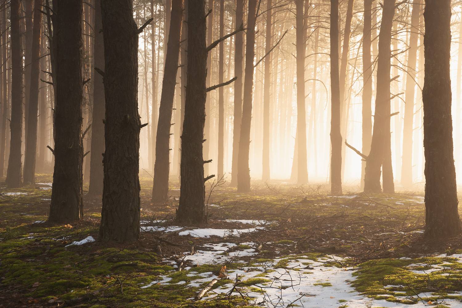 , Захаров Дмитрий