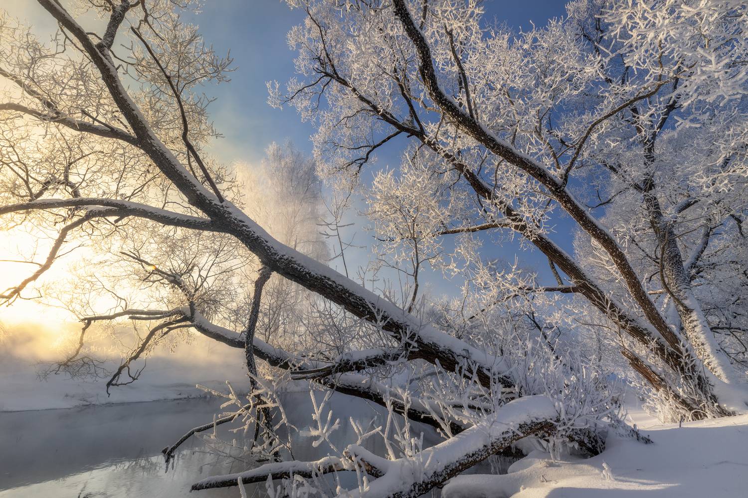 истра, Елена Гусева