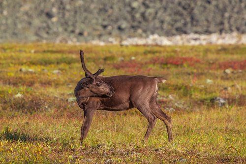 Оглядка на закат