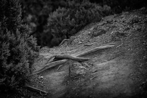 Природные миниатюры