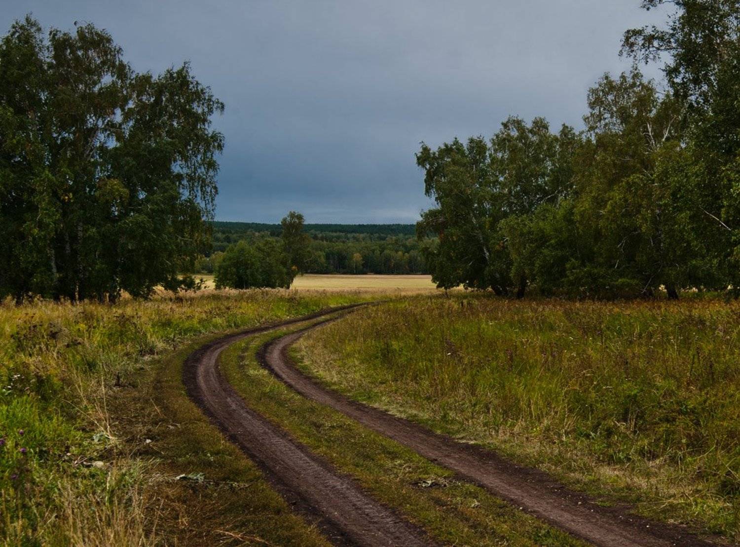 Дорога, Лес, Поле, Андрей Журавлев