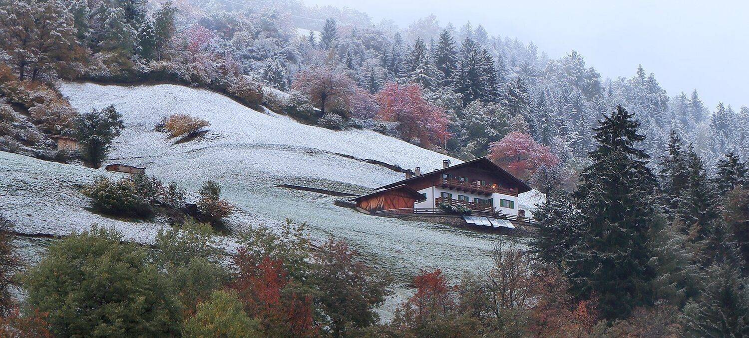 , Игорь Дубровский