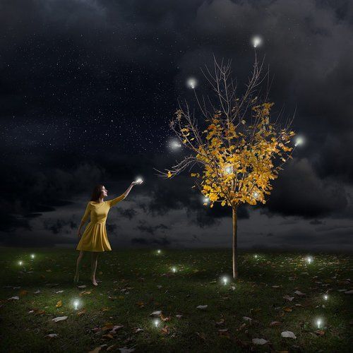 The Light Of All Things