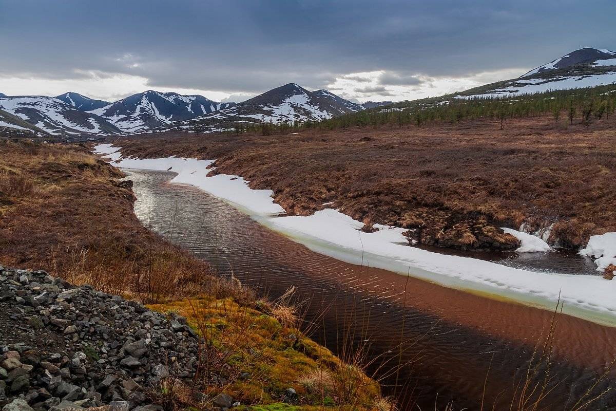 Анюй, Билибино, Бургахчан, Лесотундра, Ничан, Чукотка, Кирилл Уютнов