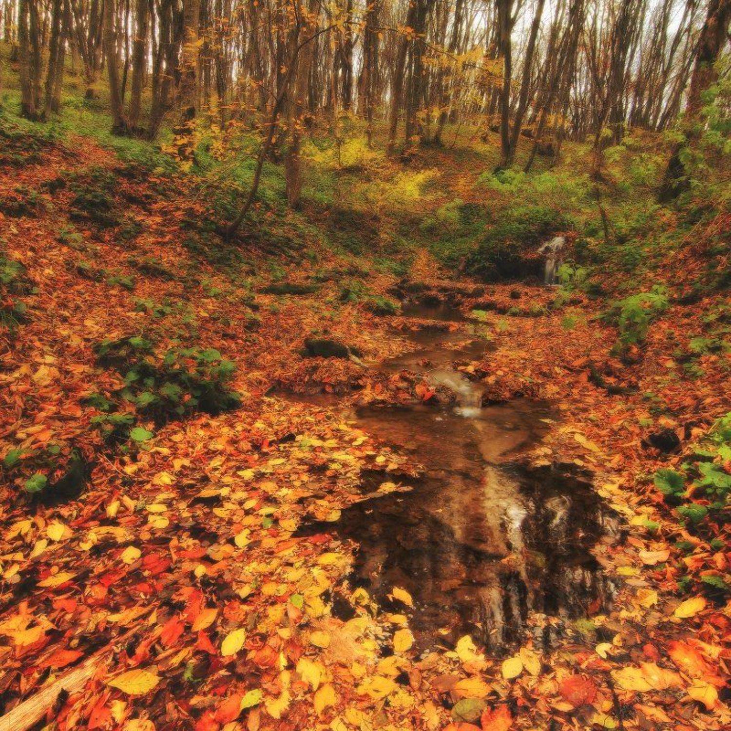 , Михаил  Пилипенко