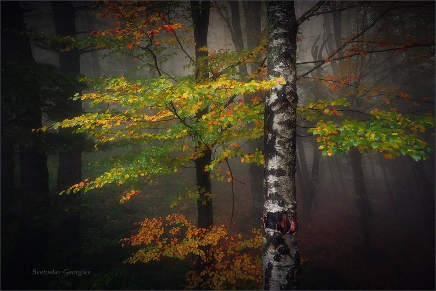 , Svetoslav Georgiev