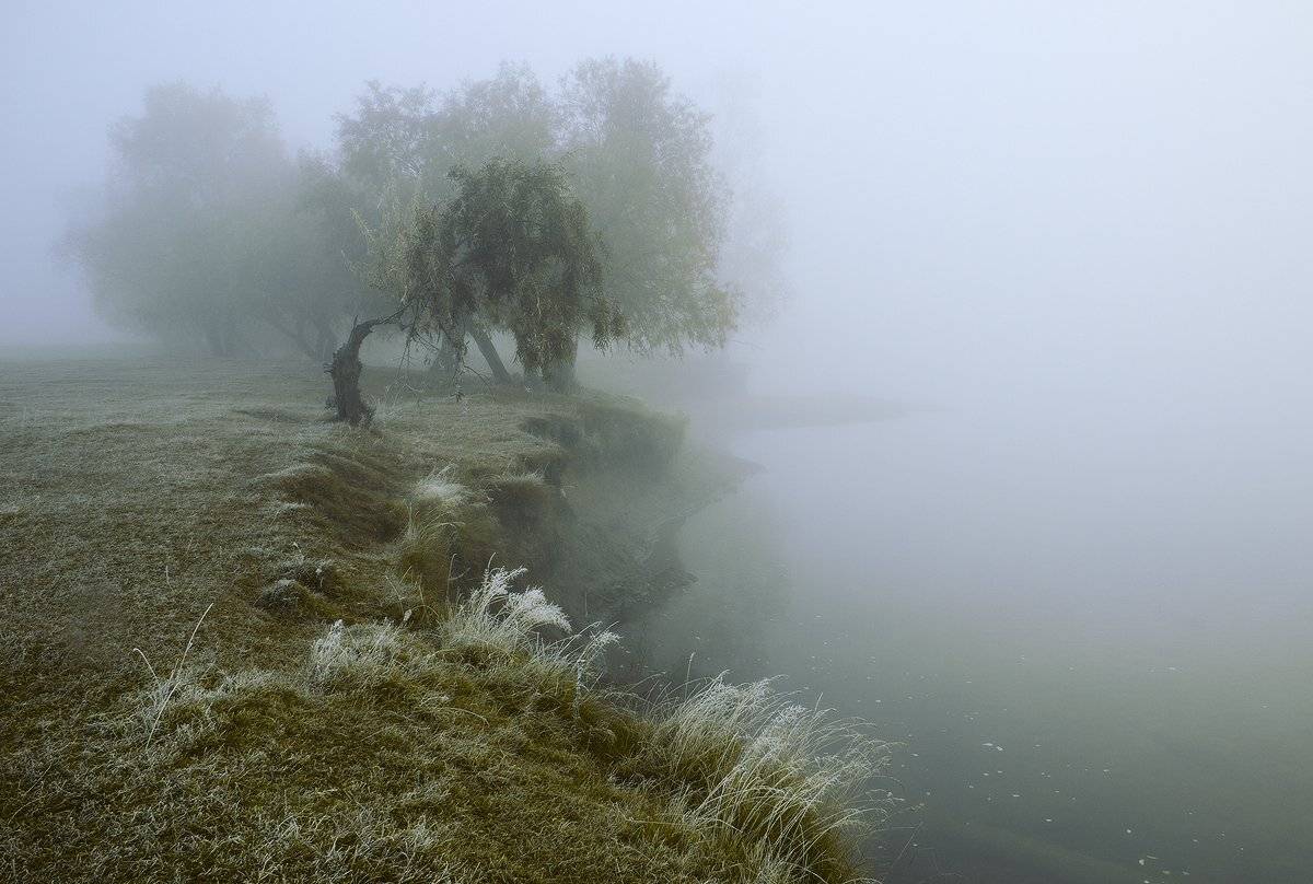 , Николай Морский