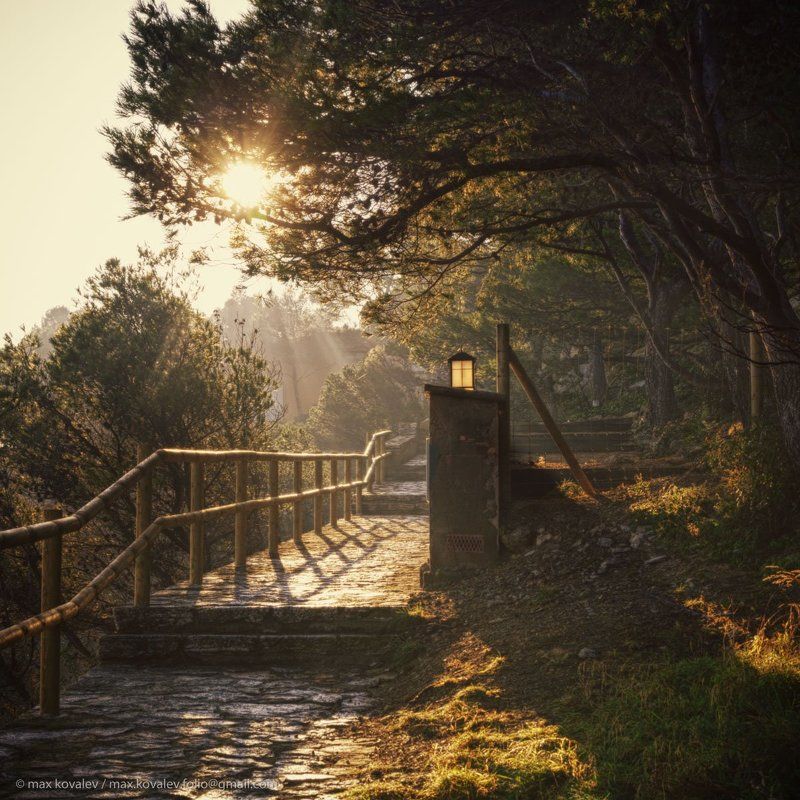 spain, gauze, haze, lamp, path, pine, ray, sun, tree, испания, дерево, дорожка, дымка, луч, мгла, солнце, сосна, тропа, туман, фонарь Два фонаря фото превью