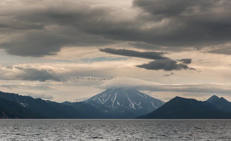 бакланы, вилючинский вулкан, камчатка, небо, стая птиц, тихий океан, тучи Над Вилючинским фото превью