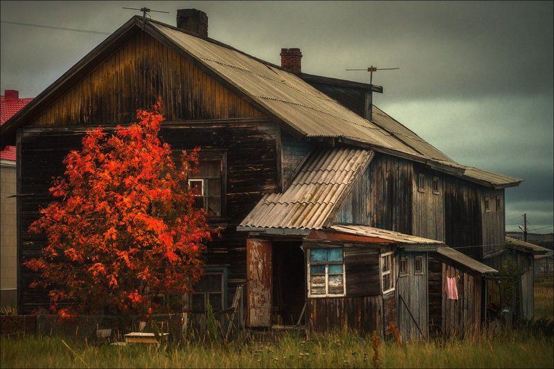 Контрасты осени фото превью