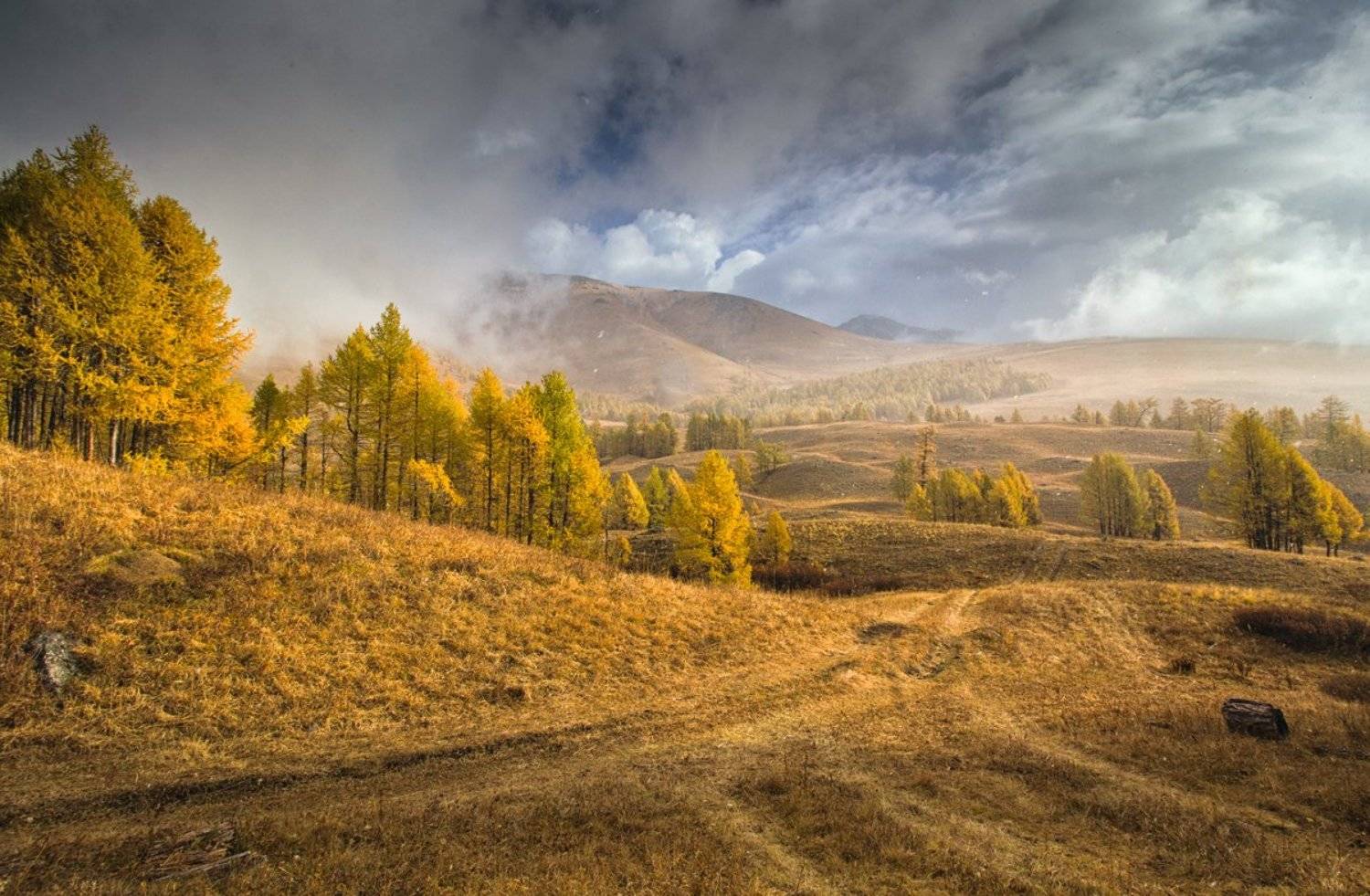 Алтай, Скиндерева Ольга
