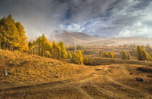 Дышите полной грудью