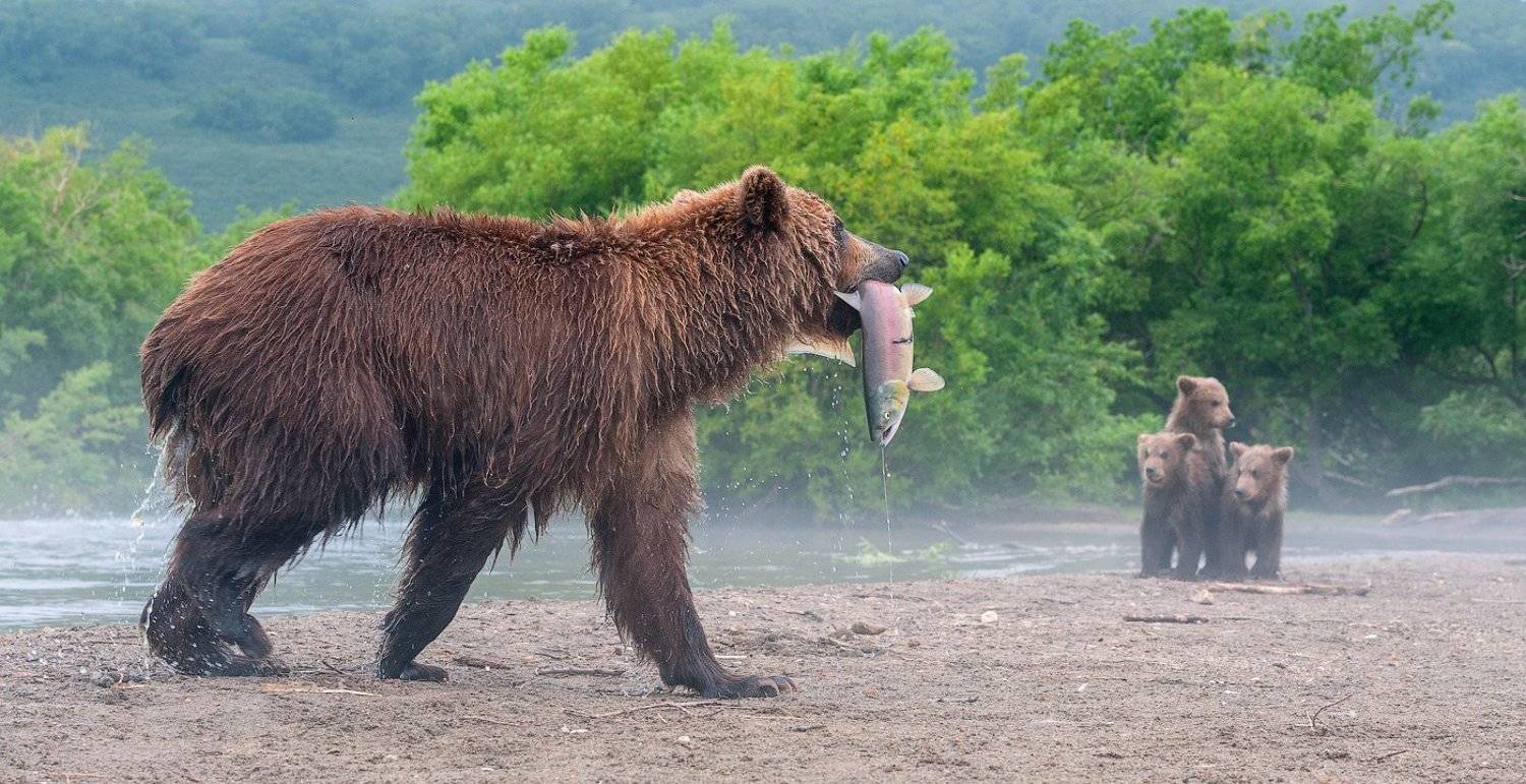 , Сергей Иванов