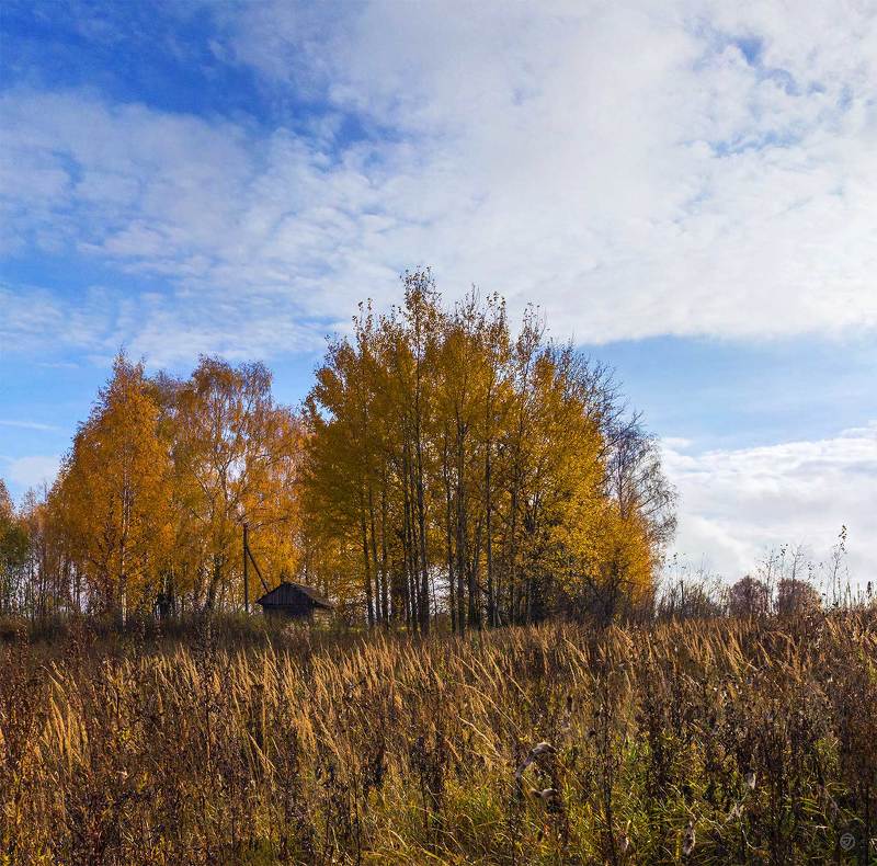 В октябре на верхней Волге фото превью