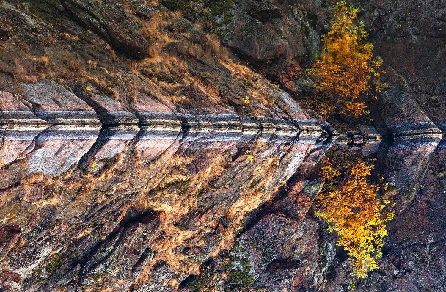 утро, река, осень, пейзаж, Никита Сердечный