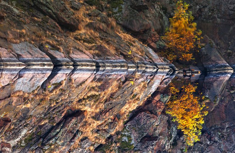 утро, река, осень, пейзаж Зеркало осени фото превью