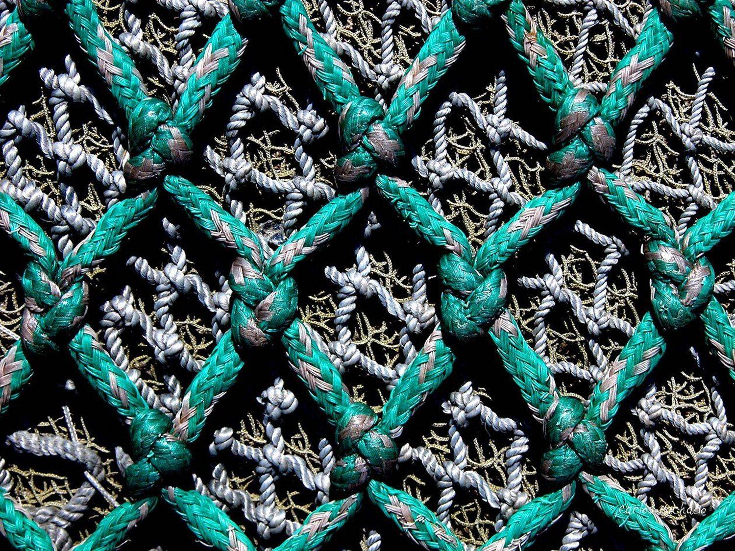 Macro, Urban, Still Life, Carlos Machado