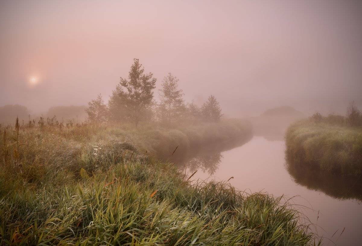 , Хохряков Николай