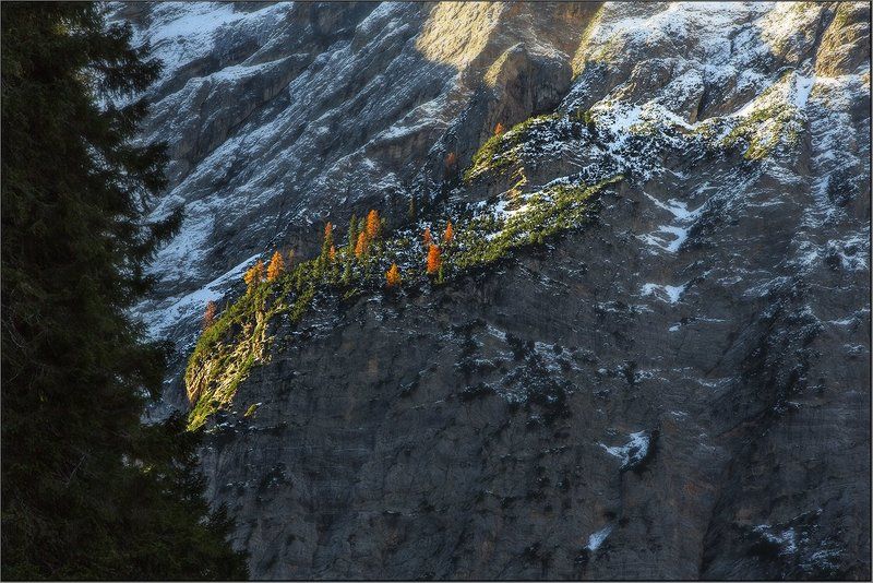 Жизни островок фото превью