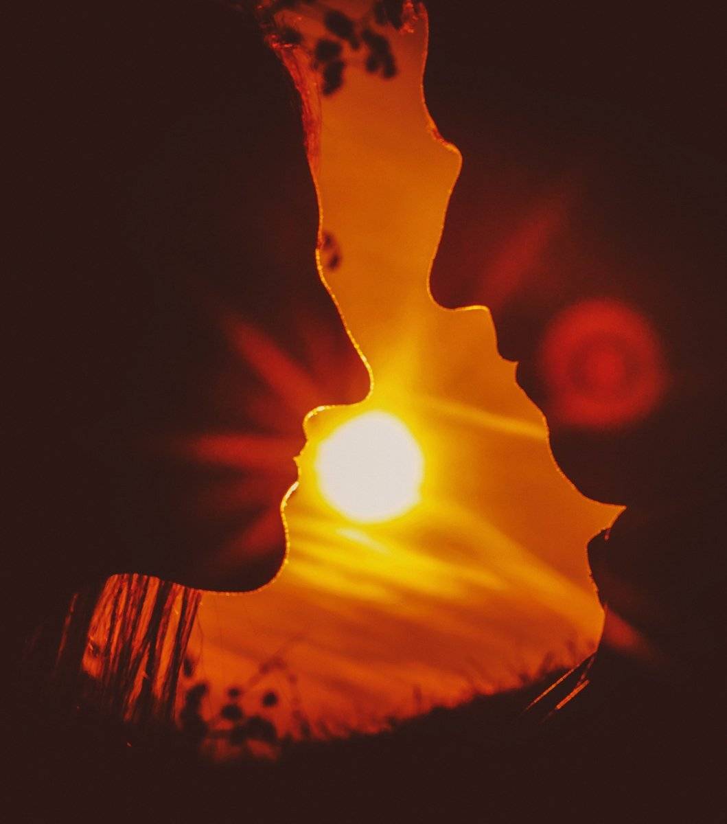 , Гладиш Юрій