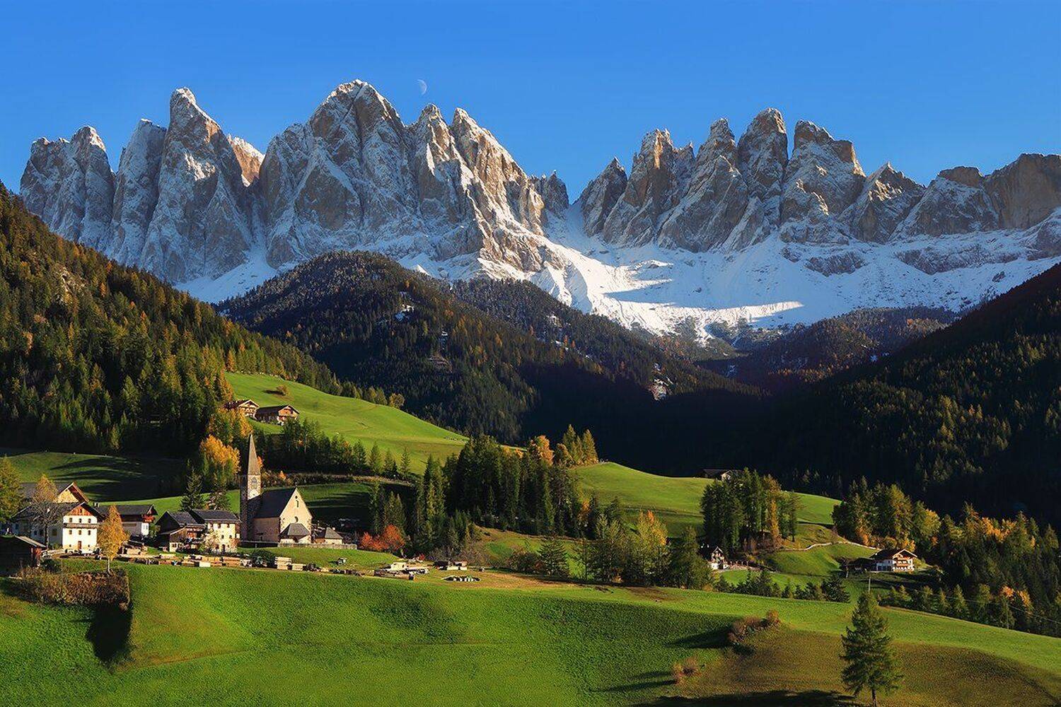 , Игорь Дубровский