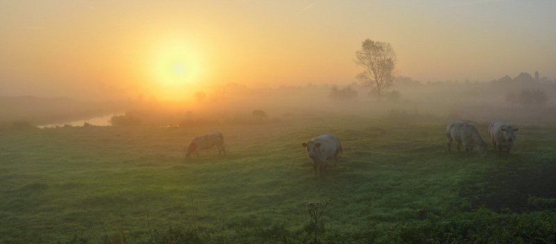 Sunrise in Zarren. фото превью