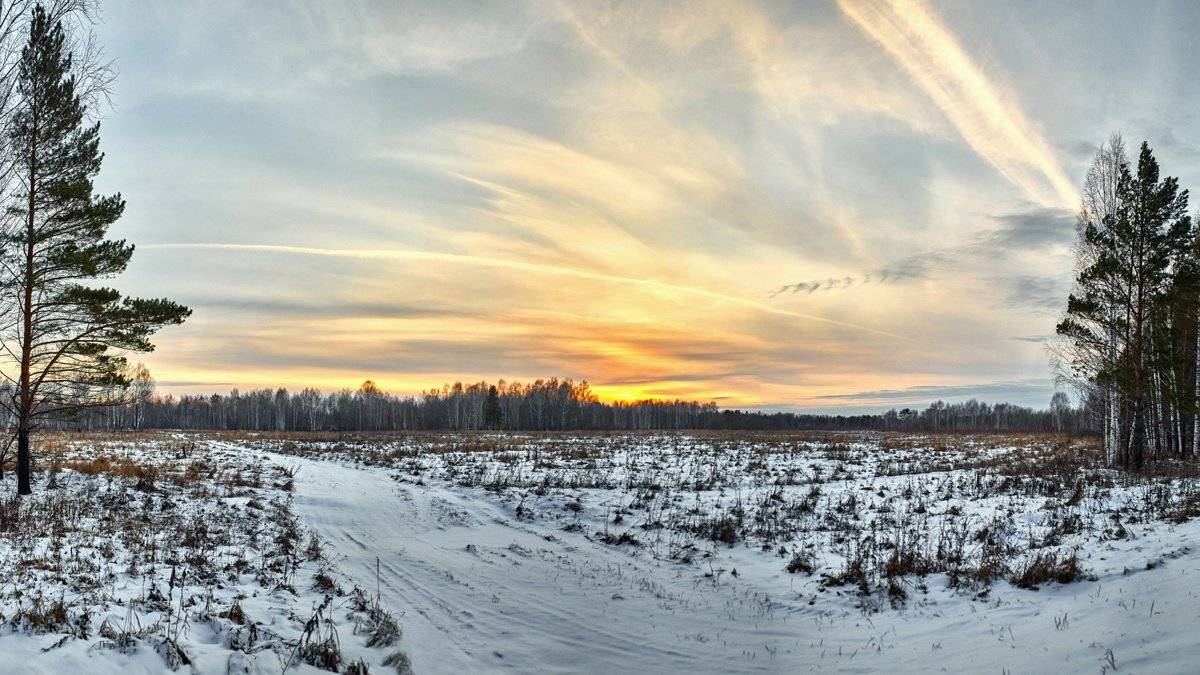 , Цвелёв Дмитрий