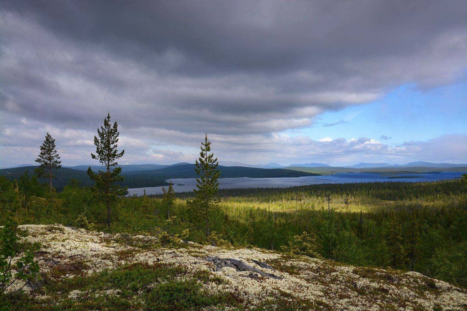 , Марина Никифорова