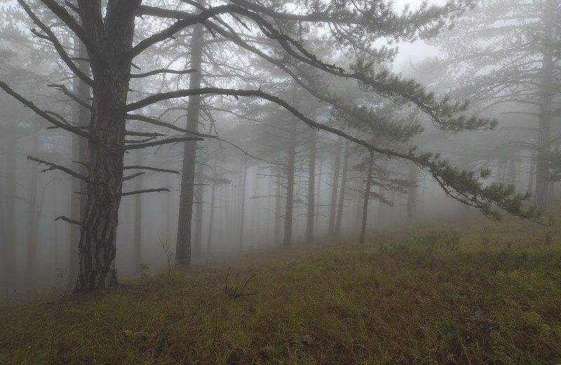 Преображение... фото превью