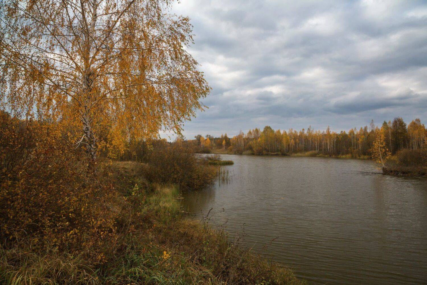 , Александр Удовиченко