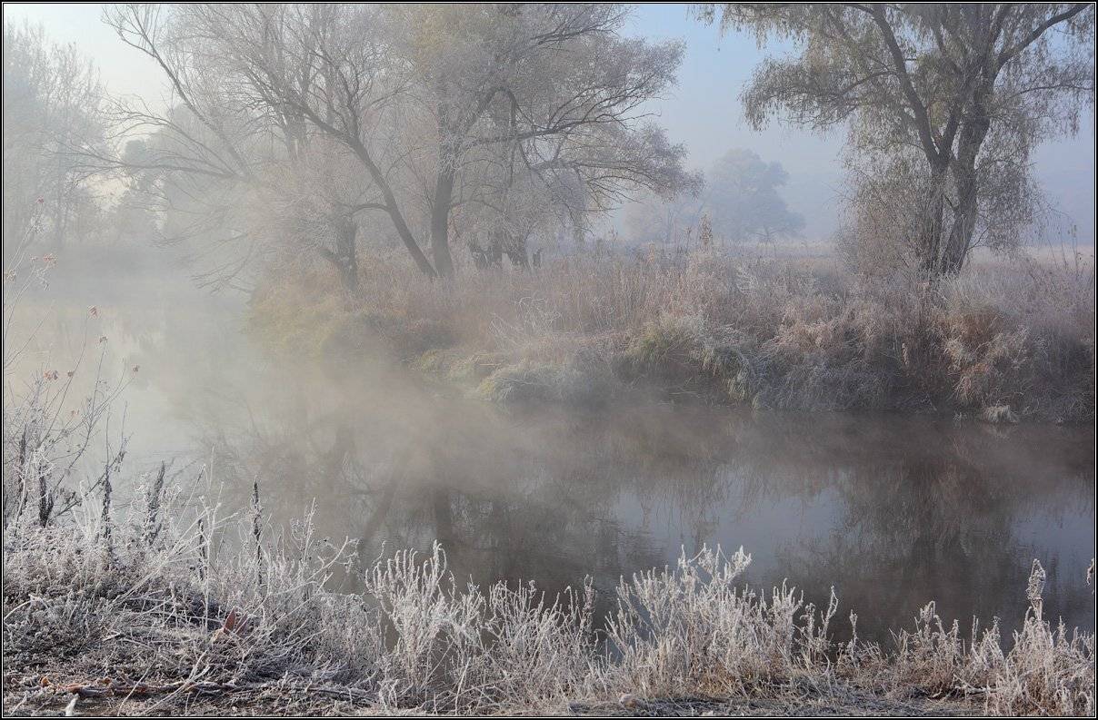 , Михаил (mgk)