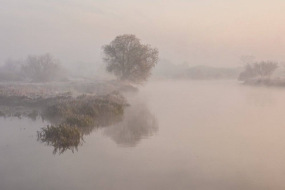 , Pawel Plucinski
