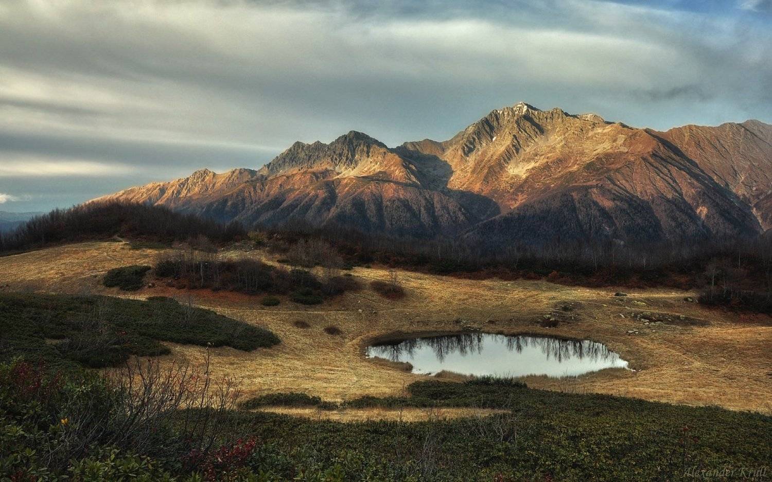 , Александр Круль
