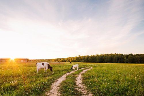 Новосельцево